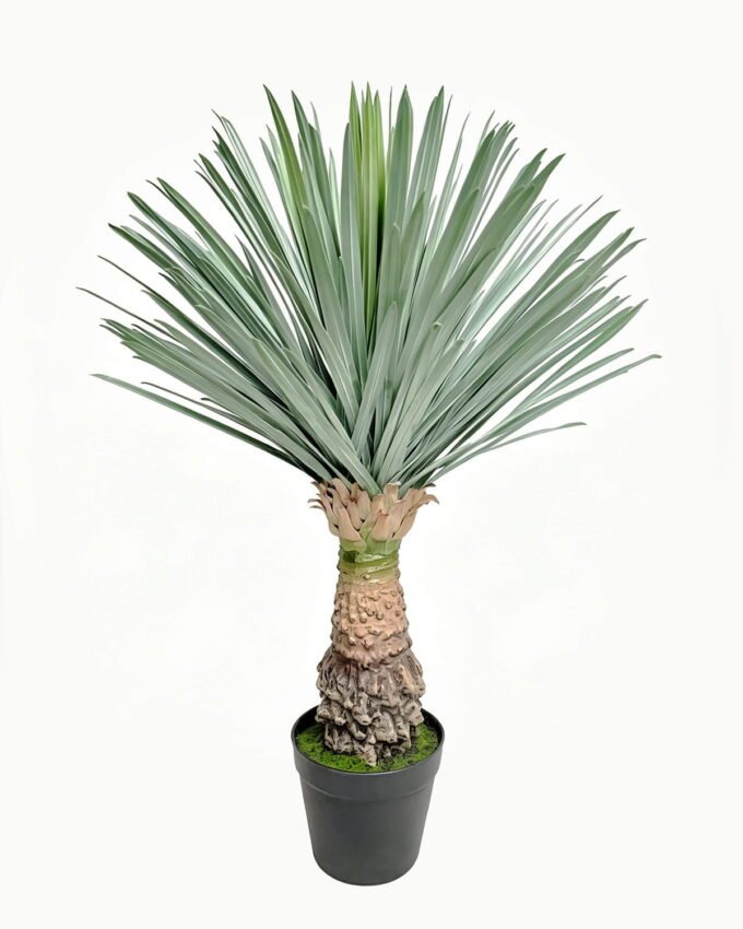 Artificial Plant 55*55*75cm Scarecrow in PP pot/156 lvs GS-41926023-G2 2026Oct 3,000+ sqm showroom with thousands of artificial flowers, plants & trees ready for global sourcing.
