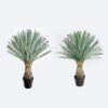 Artificial Plant 65*65*83cm Scarecrow in PP pot/156 lvs GS-41926024-G1 2026Oct 3,000+ sqm showroom with thousands of artificial flowers, plants & trees ready for global sourcing.