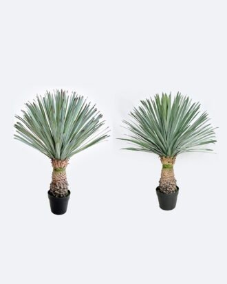Artificial Plant 65*65*83cm Scarecrow in PP pot/156 lvs GS-41926024-G1 2026Oct 3,000+ sqm showroom with thousands of artificial flowers, plants & trees ready for global sourcing. Artificial Plant 65*65*83cm Scarecrow in PP pot/156 lvs GS-41926024-G1 2026Oct 3,000+ sqm showroom with thousands of artificial flowers, plants & trees ready for global sourcing.