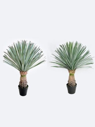 Artificial Plant 55*55*75cm Scarecrow in PP pot/156 lvs GS-41926023-G2 2026Oct 3,000+ sqm showroom with thousands of artificial flowers, plants & trees ready for global sourcing.