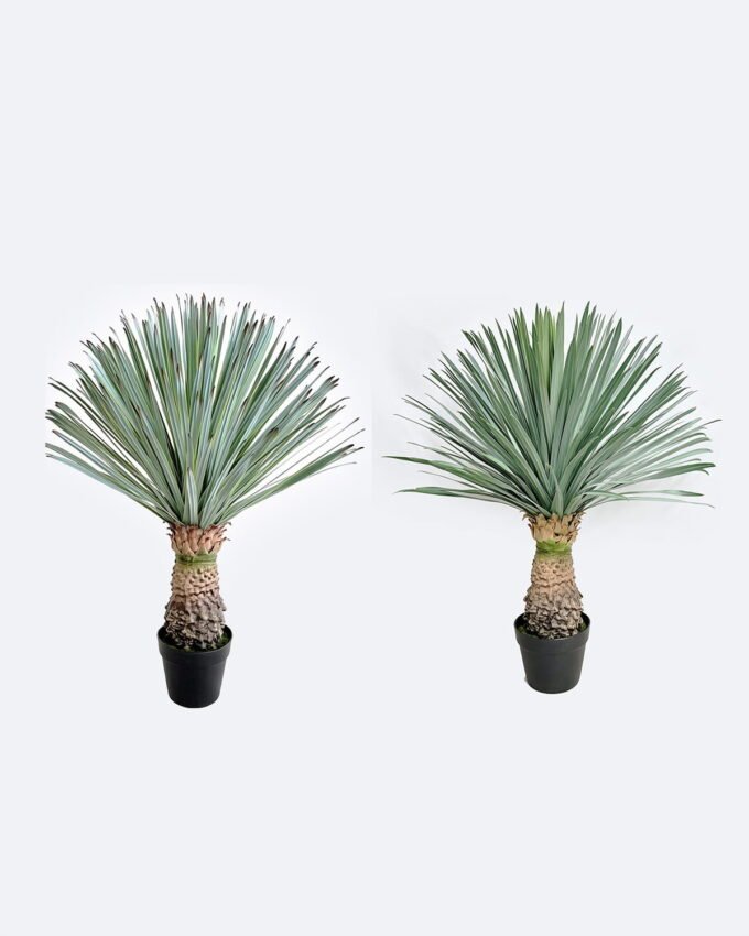Artificial Plant 65*65*83cm Scarecrow in PP pot/156 lvs GS-41926024-G1 2026Oct 3,000+ sqm showroom with thousands of artificial flowers, plants & trees ready for global sourcing.