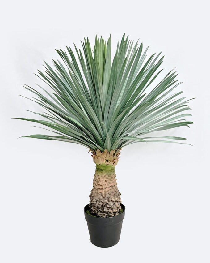 Artificial Plant 65*65*83cm Scarecrow in PP pot/156 lvs GS-41926024-G1 2026Oct 3,000+ sqm showroom with thousands of artificial flowers, plants & trees ready for global sourcing.