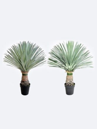 Artificial Plant 65*65*83cm Scarecrow in PP pot/156 lvs GS-41926024-G1 2026Oct 3,000+ sqm showroom with thousands of artificial flowers, plants & trees ready for global sourcing.