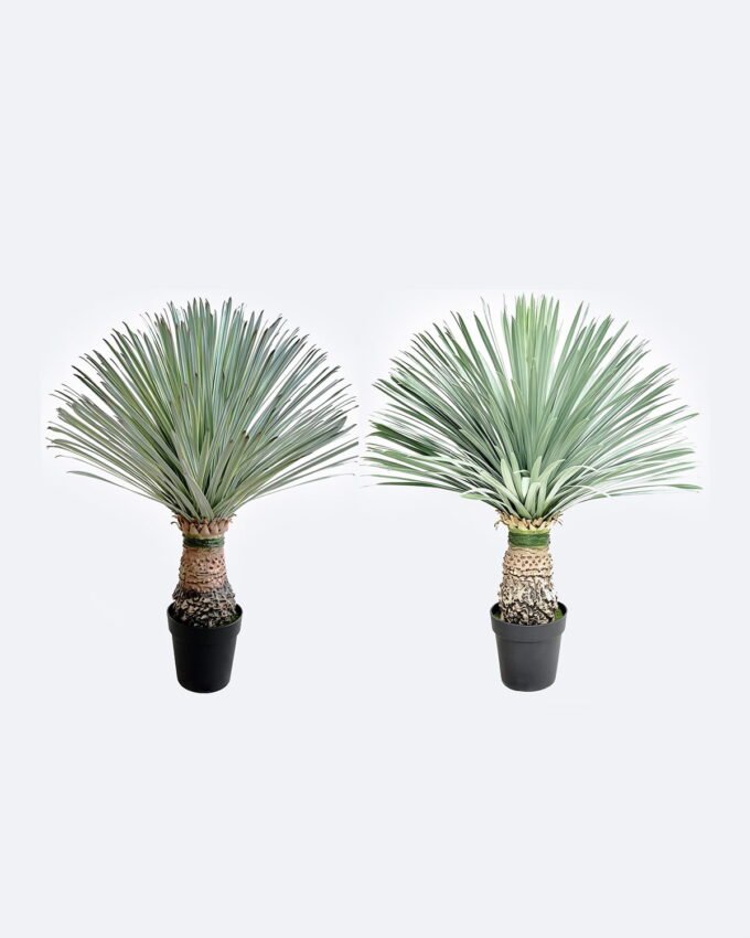 Artificial Plant 75*75*96cm Scarecrow in PP pot/156 lvs GS-41926025-G1 2026Oct 3,000+ sqm showroom with thousands of artificial flowers, plants & trees ready for global sourcing.
