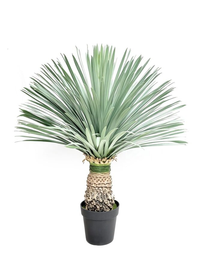 Artificial Plant 75*75*96cm Scarecrow in PP pot/156 lvs GS-41926025-G1 2026Oct 3,000+ sqm showroom with thousands of artificial flowers, plants & trees ready for global sourcing.