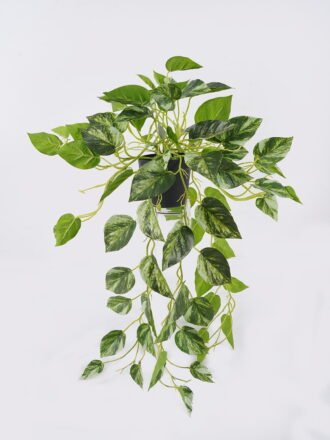 Artificial Plant 20*20*67cm Leaf single stem GS-29826004CT 2026Oct 3,000+ sqm showroom with thousands of artificial flowers, plants & trees ready for global sourcing.