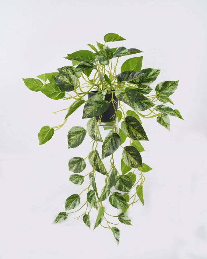 Artificial Plant 48*48*82cm Scindapsus in  pp pot/81 LVS GS-29824057R-G2 2026Oct 3,000+ sqm showroom with thousands of artificial flowers, plants & trees ready for global sourcing.