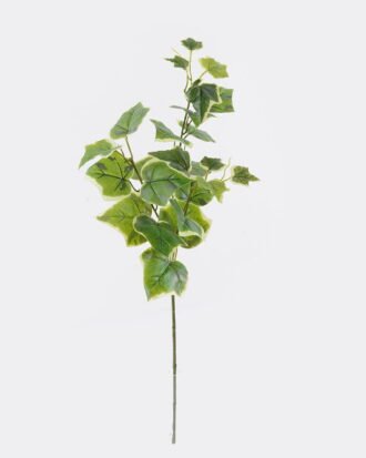 Artificial Plant 20*20*67cm Sweetpotato leaf *3 single stem GS-29822068CT-R 2026Oct 3,000+ sqm showroom with thousands of artificial flowers, plants & trees ready for global sourcing. Artificial Plant 20*20*67cm Sweetpotato leaf *3 single stem GS-29822068CT-R 2026Oct 3,000+ sqm showroom with thousands of artificial flowers, plants & trees ready for global sourcing.