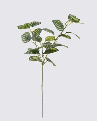 Artificial Plant 20*20*67CM Watermelon leaves *3 single stem GS-29819001CT-R 2026Oct 3,000+ sqm showroom with thousands of artificial flowers, plants & trees ready for global sourcing. Artificial Plant 20*20*67CM Watermelon leaves *3 single stem GS-29819001CT-R 2026Oct 3,000+ sqm showroom with thousands of artificial flowers, plants & trees ready for global sourcing.