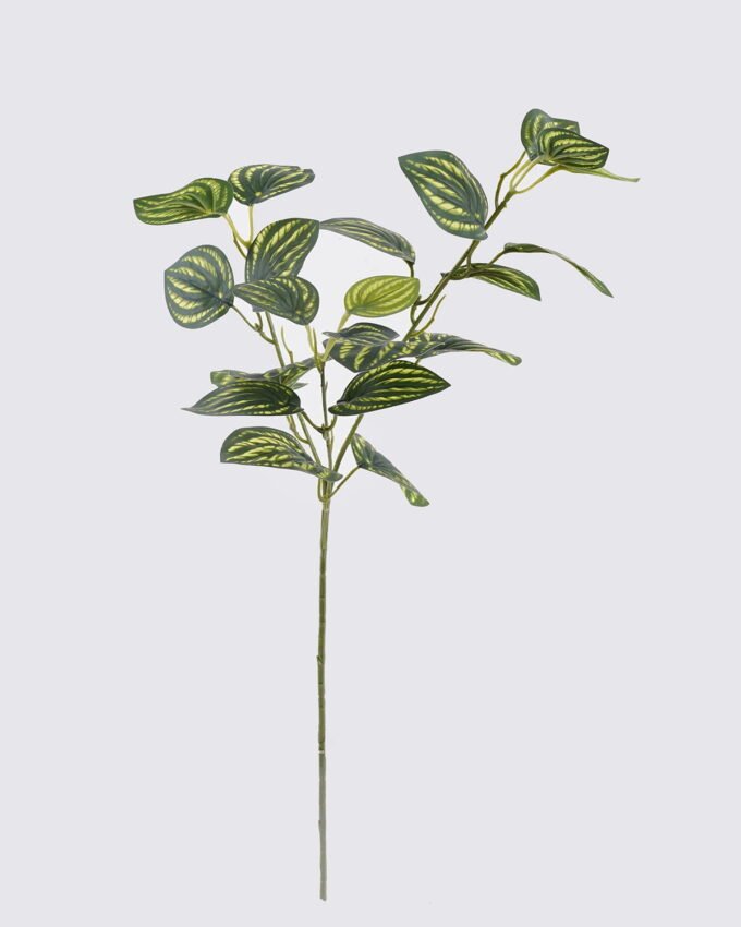 Artificial Plant 20*20*67CM Watermelon leaves *3 single stem GS-29819001CT-R 2026Oct 3,000+ sqm showroom with thousands of artificial flowers, plants & trees ready for global sourcing.