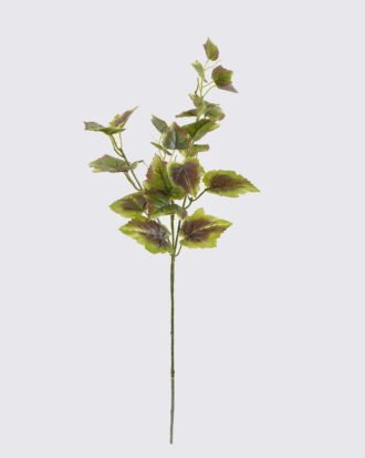 Artificial Plant 20*20*67CM leaf *3 single stem GS-2980108CONTI-R 2026Oct 3,000+ sqm showroom with thousands of artificial flowers, plants & trees ready for global sourcing. Artificial Plant 20*20*67CM leaf *3 single stem GS-2980108CONTI-R 2026Oct 3,000+ sqm showroom with thousands of artificial flowers, plants & trees ready for global sourcing.