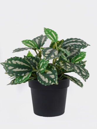 Artificial Tree 30*23*60cm LEMON tree *5 in PP pot/86 lvs GS-30426070 2026Oct 3,000+ sqm showroom with thousands of artificial flowers, plants & trees ready for global sourcing.