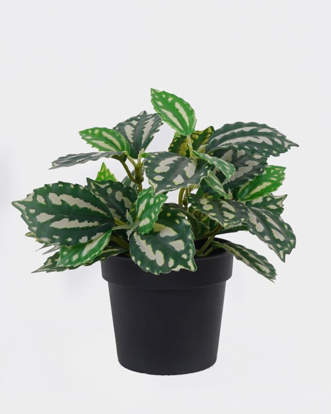 Artificial Table Plants 18*18*16cm Leaf in PP pot/38 lvs GS-30426069 2026Oct 3,000+ sqm showroom with thousands of artificial flowers, plants & trees ready for global sourcing.