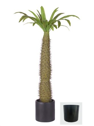 Artificial Tree 175cm Euphorbia royleana Boiss in PP pot GS-58426009 2026Oct 3,000+ sqm showroom with thousands of artificial flowers, plants & trees ready for global sourcing.
