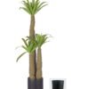 Artificial Tree 175cm Euphorbia royleana Boiss *3 in PP pot GS-58426008 2026Oct 3,000+ sqm showroom with thousands of artificial flowers, plants & trees ready for global sourcing.