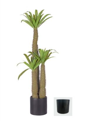 Artificial Tree 175cm Euphorbia royleana Boiss *3 in PP pot GS-58426008 2026Oct 3,000+ sqm showroom with thousands of artificial flowers, plants & trees ready for global sourcing. Artificial Tree 175cm Euphorbia royleana Boiss *3 in PP pot GS-58426008 2026Oct 3,000+ sqm showroom with thousands of artificial flowers, plants & trees ready for global sourcing.
