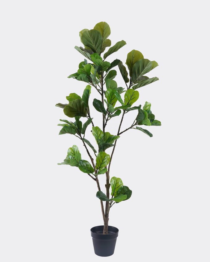 Artificial Tree 60*35*144cm Ficus lyrata *15 in PP pot/74 lvs GS-30426064 2026Oct 3,000+ sqm showroom with thousands of artificial flowers, plants & trees ready for global sourcing.