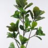 Artificial Tree Ficus lyrata 15 in PP pot 74 lvs GS-30426064_5 Artificial Tree 60*35*144cm Ficus lyrata *15 in PP pot/74 lvs GS-30426064 2026Oct 3,000+ sqm showroom with thousands of artificial flowers, plants & trees ready for global sourcing.