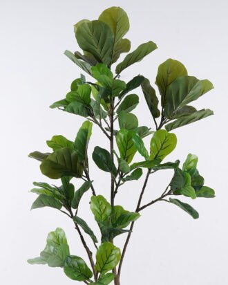 Artificial Tree 60*35*144cm Ficus lyrata *15 in PP pot/74 lvs GS-30426064 2026Oct 3,000+ sqm showroom with thousands of artificial flowers, plants & trees ready for global sourcing. Artificial Tree 60*35*144cm Ficus lyrata *15 in PP pot/74 lvs GS-30426064 2026Oct 3,000+ sqm showroom with thousands of artificial flowers, plants & trees ready for global sourcing.