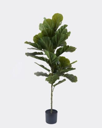 Artificial Tree 55*45*120cm Ficus lyrata *3 in PP pot/44 lvs GS-30426066 2026Oct 3,000+ sqm showroom with thousands of artificial flowers, plants & trees ready for global sourcing. Artificial Tree 55*45*120cm Ficus lyrata *3 in PP pot/44 lvs GS-30426066 2026Oct 3,000+ sqm showroom with thousands of artificial flowers, plants & trees ready for global sourcing.