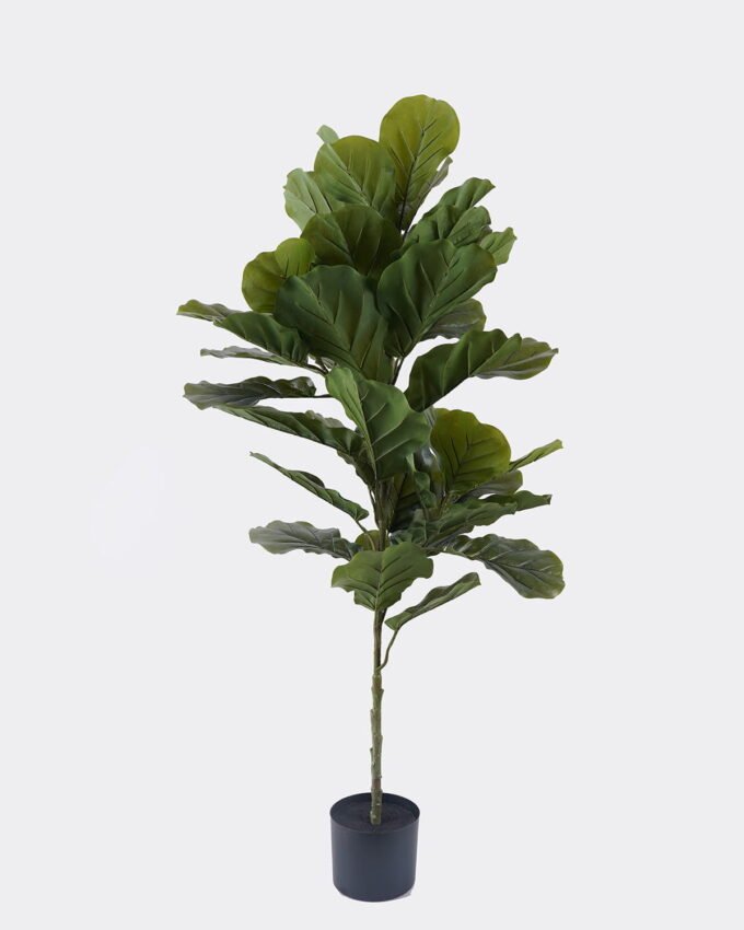 Artificial Tree 55*45*120cm Ficus lyrata *3 in PP pot/44 lvs GS-30426066 2026Oct 3,000+ sqm showroom with thousands of artificial flowers, plants & trees ready for global sourcing.