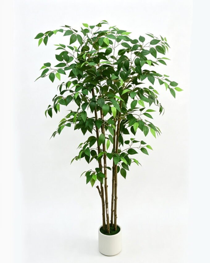Artificial Tree 17.5*17*170cm Ficus tree in PP pot GS-10626006 2026SEP 3,000+ sqm showroom with thousands of artificial flowers, plants & trees ready for global sourcing.