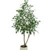 Artificial Tree Ficus tree in PP pot GS-10626007 Artificial Tree 21.5*21.5*156cm Ficus tree in PP pot GS-10626007 2026SEP 3,000+ sqm showroom with thousands of artificial flowers, plants & trees ready for global sourcing.