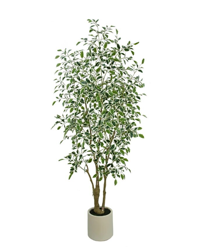Artificial Tree Ficus tree in PP pot GS-10626009 Artificial Tree 26.5*26.5*222cm Ficus tree in PP pot GS-10626009 2026SEP 3,000+ sqm showroom with thousands of artificial flowers, plants & trees ready for global sourcing.