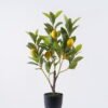Artificial Tree LEMON tree 5 in PP pot 86 lvs GS-30426070 Artificial Tree 30*23*60cm LEMON tree *5 in PP pot/86 lvs GS-30426070 2026Oct 3,000+ sqm showroom with thousands of artificial flowers, plants & trees ready for global sourcing.