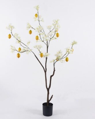 Artificial Tree 48*45*130cm Lemon tree *4 in PP pot GS-30426088 2026Oct 3,000+ sqm showroom with thousands of artificial flowers, plants & trees ready for global sourcing. Artificial Tree 48*45*130cm Lemon tree *4 in PP pot GS-30426088 2026Oct 3,000+ sqm showroom with thousands of artificial flowers, plants & trees ready for global sourcing.
