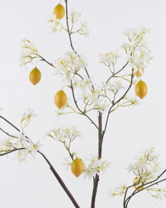 Artificial Tree 48*45*130cm Lemon tree *4 in PP pot GS-30426088 2026Oct 3,000+ sqm showroom with thousands of artificial flowers, plants & trees ready for global sourcing. Artificial Tree 48*45*130cm Lemon tree *4 in PP pot GS-30426088 2026Oct 3,000+ sqm showroom with thousands of artificial flowers, plants & trees ready for global sourcing.