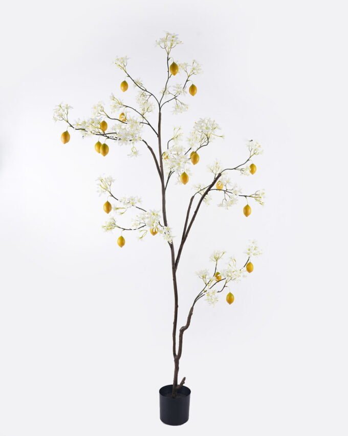 Artificial Tree 70*45*185cm Lemon tree *6 in PP pot GS-30426087 2026Oct 3,000+ sqm showroom with thousands of artificial flowers, plants & trees ready for global sourcing.