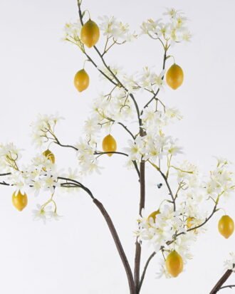 Artificial Tree 70*45*185cm Lemon tree *6 in PP pot GS-30426087 2026Oct 3,000+ sqm showroom with thousands of artificial flowers, plants & trees ready for global sourcing. Artificial Tree 70*45*185cm Lemon tree *6 in PP pot GS-30426087 2026Oct 3,000+ sqm showroom with thousands of artificial flowers, plants & trees ready for global sourcing.