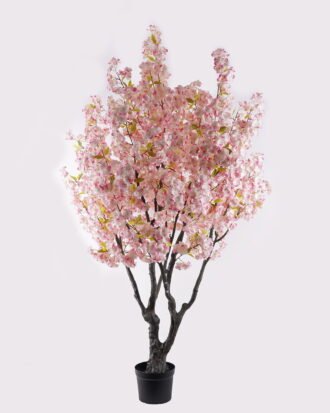 Artificial Tree 97*79*210cm Oriental cherry in PP pot/486 lvs GS-30426072KD 2026Oct 3,000+ sqm showroom with thousands of artificial flowers, plants & trees ready for global sourcing. Artificial Tree 97*79*210cm Oriental cherry in PP pot/486 lvs GS-30426072KD 2026Oct 3,000+ sqm showroom with thousands of artificial flowers, plants & trees ready for global sourcing.