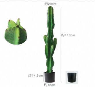 Artificial succulent 29*118cm Cactus in PP pot GS-58426014 2026Oct 3,000+ sqm showroom with thousands of artificial flowers, plants & trees ready for global sourcing. Artificial succulent 29*118cm Cactus in PP pot GS-58426014 2026Oct 3,000+ sqm showroom with thousands of artificial flowers, plants & trees ready for global sourcing.