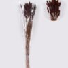 Dried Flowers 75cm Lagurus ovatus 25g Bag GS-56624050-K1_3 Dried Flowers 75cm Lagurus ovatus 25g/Bag GS-56624050-K1 2026Oct 3,000+ sqm showroom with thousands of artificial flowers, plants & trees ready for global sourcing.