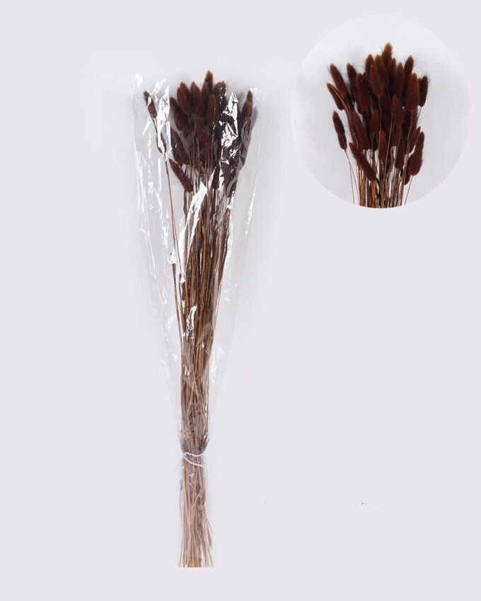 Dried Flowers 75cm Lagurus ovatus 25g/Bag GS-56624050-K1 2026Oct 3,000+ sqm showroom with thousands of artificial flowers, plants & trees ready for global sourcing.