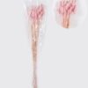 Dried Flowers 75cm Lagurus ovatus 25g/Bag GS-56624050-P1 2026Oct 3,000+ sqm showroom with thousands of artificial flowers, plants & trees ready for global sourcing.
