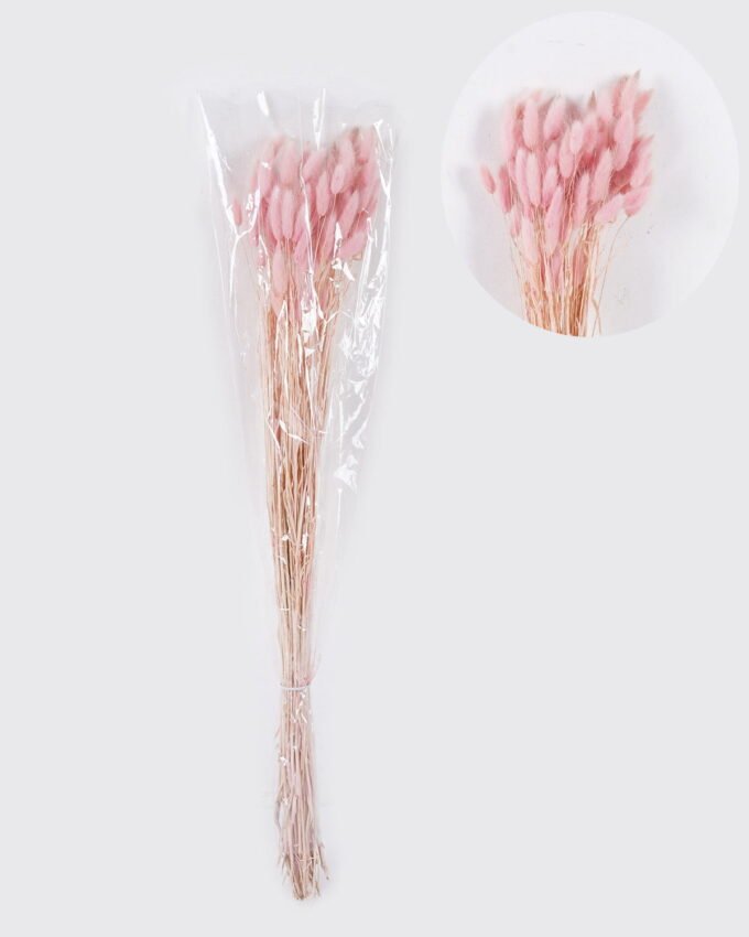 Dried Flowers 75cm Lagurus ovatus 25g/Bag GS-56624050-P1 2026Oct 3,000+ sqm showroom with thousands of artificial flowers, plants & trees ready for global sourcing.