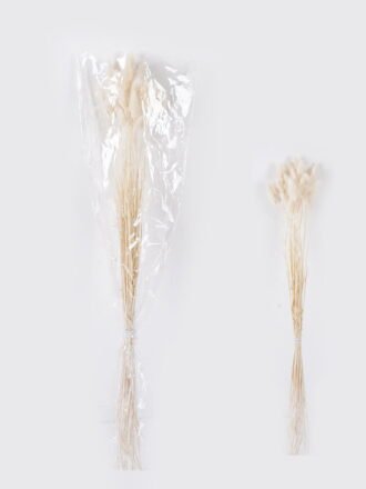 Dried Flowers 75cm Lagurus ovatus 25g/Bag GS-56624050-Y1 2026Oct 3,000+ sqm showroom with thousands of artificial flowers, plants & trees ready for global sourcing.