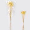 Dried Flowers 75cm Lagurus ovatus 25g Bag GS-56624050-Y1_1 Dried Flowers 75cm Lagurus ovatus 25g/Bag GS-56624050-Y1 2026Oct 3,000+ sqm showroom with thousands of artificial flowers, plants & trees ready for global sourcing.