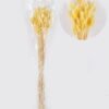 Dried Flowers 75cm Lagurus ovatus 25g Bag GS-56624050-Y1_4 Dried Flowers 75cm Lagurus ovatus 25g/Bag GS-56624050-Y1 2026Oct 3,000+ sqm showroom with thousands of artificial flowers, plants & trees ready for global sourcing.