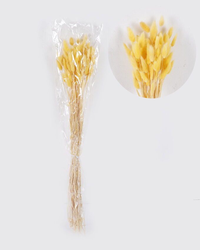 Dried Flowers 75cm Lagurus ovatus 25g/Bag GS-56624050-Y1 2026Oct 3,000+ sqm showroom with thousands of artificial flowers, plants & trees ready for global sourcing.