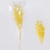 Dried Flowers Berry 50g bag H 60-70cm pc GS-56620024-Y1 Dried Flowers 14*68CM Berry, 50g/bag, H:60-70cm/pc GS-56620024-Y1 2026Oct 3,000+ sqm showroom with thousands of artificial flowers, plants & trees ready for global sourcing.