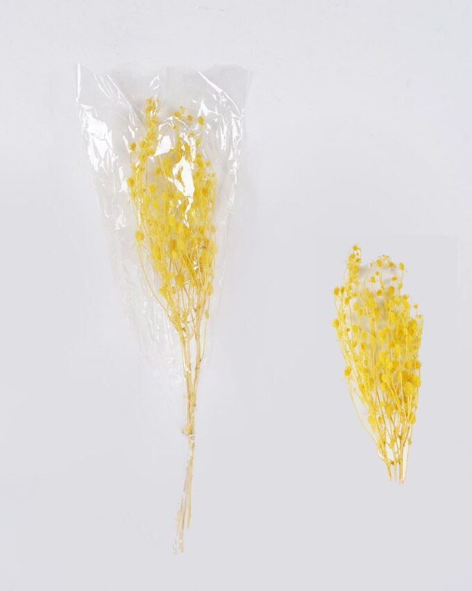Dried Flowers 14*68CM Berry, 50g/bag, H:60-70cm/pc GS-56620024-Y1 2026Oct 3,000+ sqm showroom with thousands of artificial flowers, plants & trees ready for global sourcing.