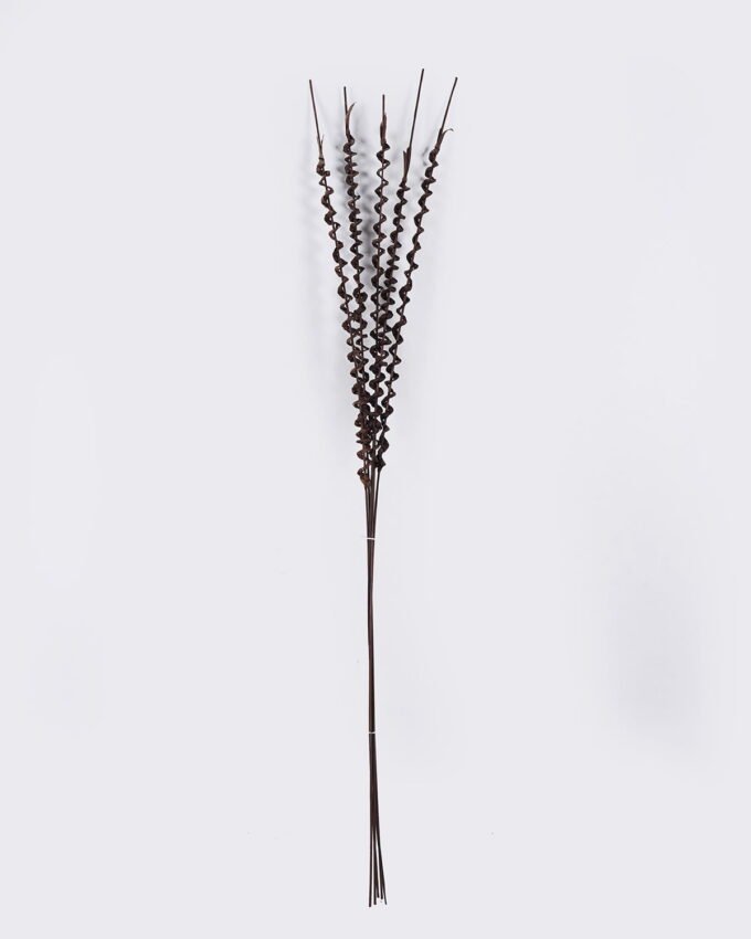 Dried Flowers 12*155CM Grass,5pc/bag(REMARK:standard:pcs not weight) GS-56621071CONTI-K1 2026Oct 3,000+ sqm showroom with thousands of artificial flowers, plants & trees ready for global sourcing.